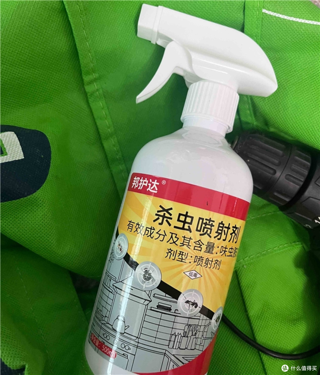 深夜开灯见蟑螂的租房党,好用的蟑螂药这样挑,一窝端更省心