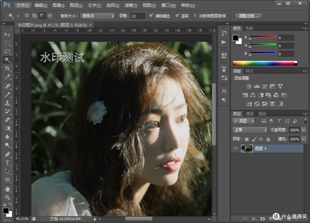 Photoshop 专业图像去水印方法一