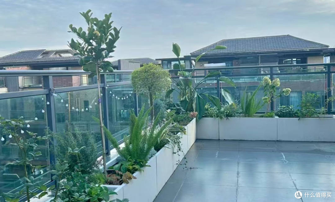 直到天台漏水才知道，家人当初反对买顶楼房子，如今苦不堪言