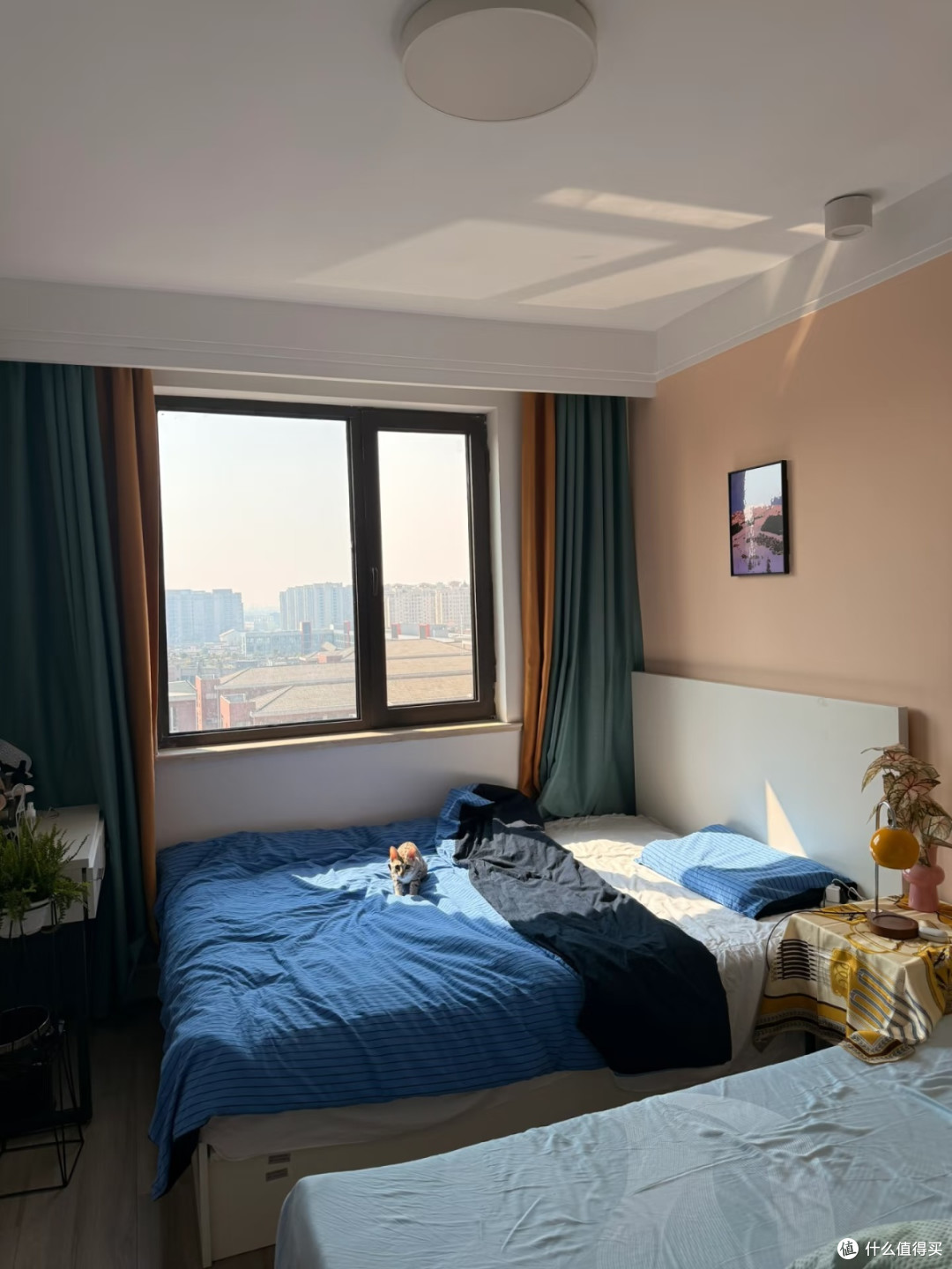 入住两周,我把公租房改成室内小花园