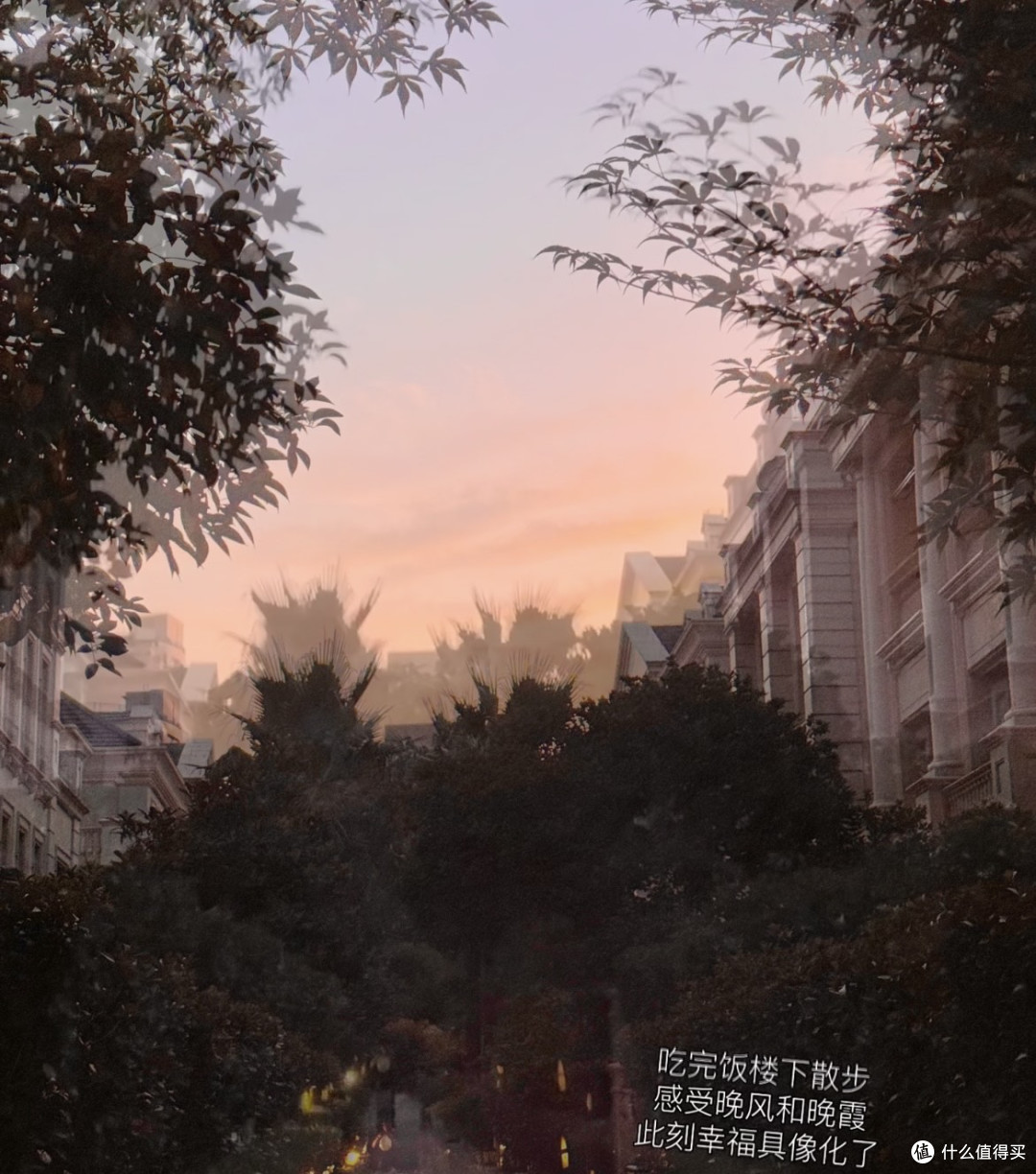 第五次租房｜终于住进了理想的家