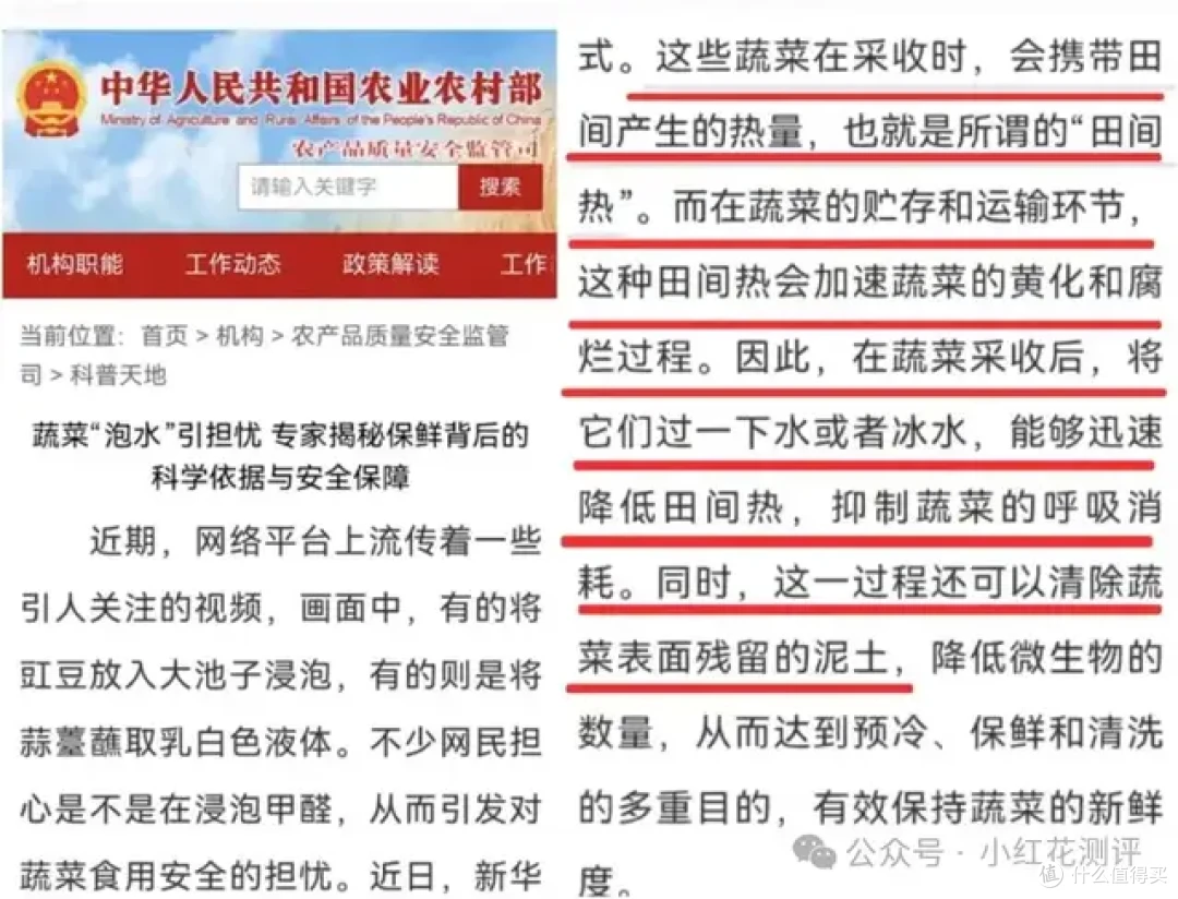 「甲醛白菜」上热搜,花爸两年前的视频却被「炸」了……