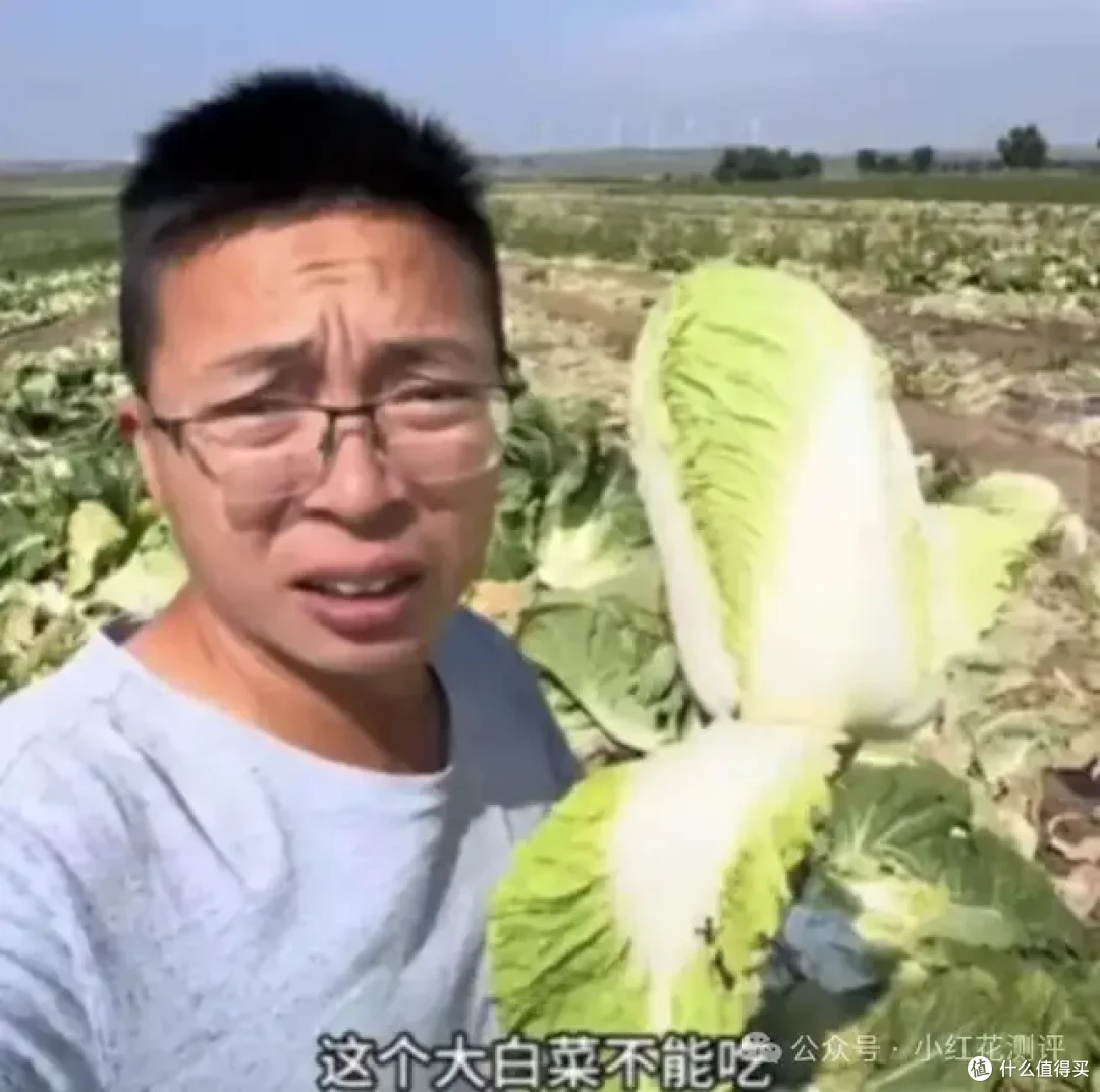 「甲醛白菜」上热搜,花爸两年前的视频却被「炸」了……