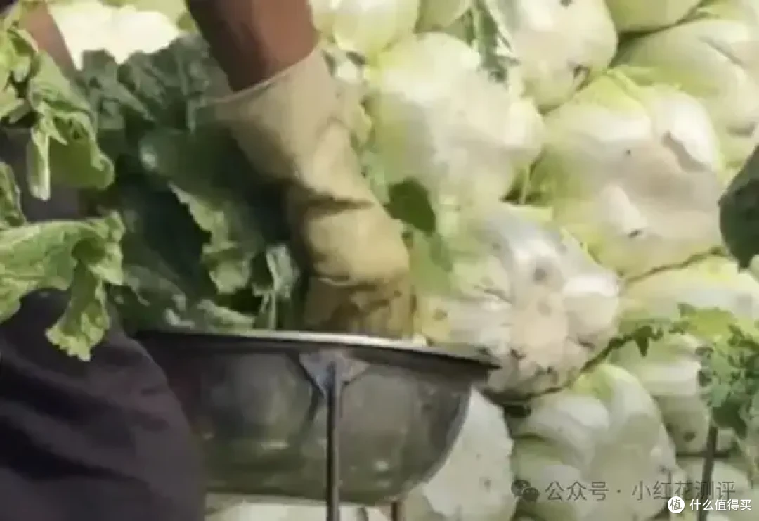 「甲醛白菜」上热搜,花爸两年前的视频却被「炸」了……