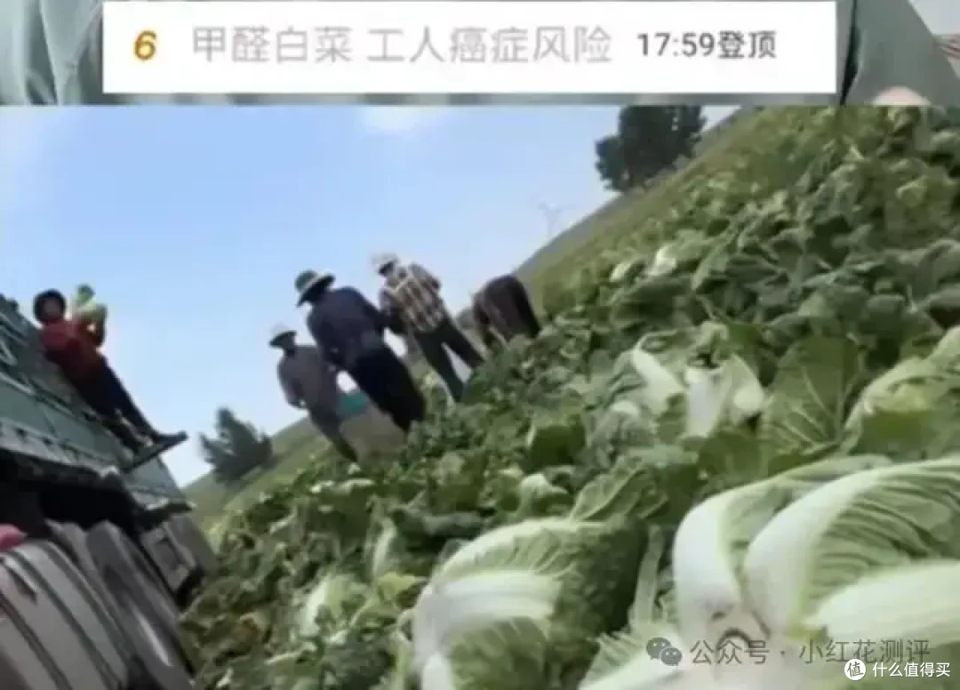 「甲醛白菜」上热搜,花爸两年前的视频却被「炸」了……