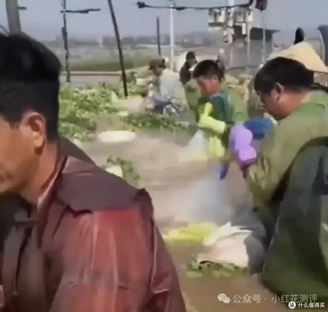 「甲醛白菜」上热搜,花爸两年前的视频却被「炸」了……