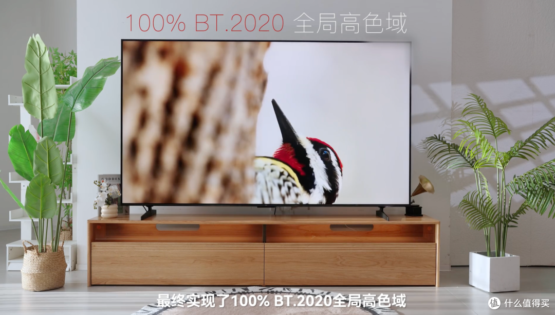 同样标着高色域，价格差好几千，Mini LED电视到底差在哪？