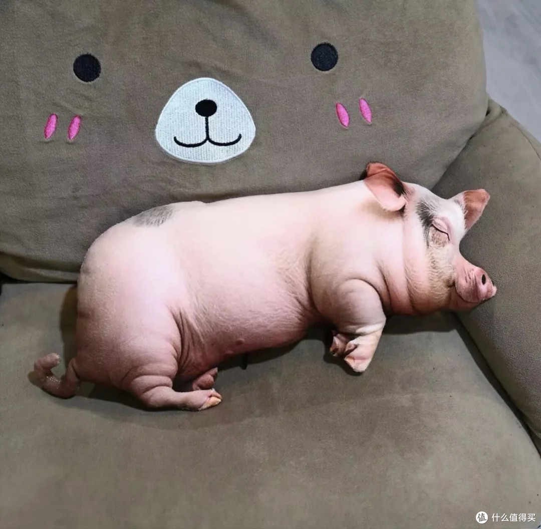 老婆买的8件物品,用之前:什么奇葩玩意?知道用途后:小丑是我