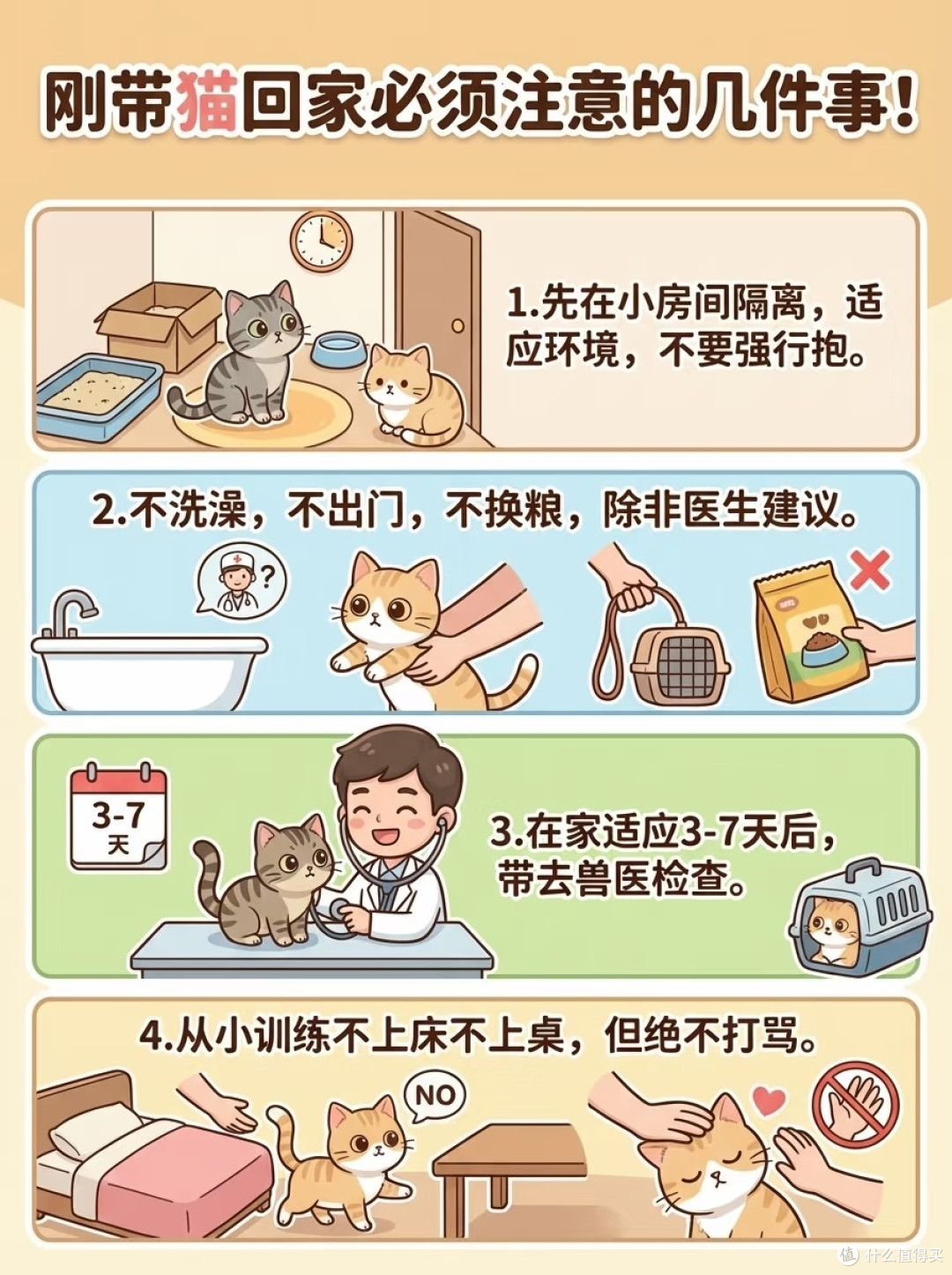 养猫舒适指南:人猫和谐共处