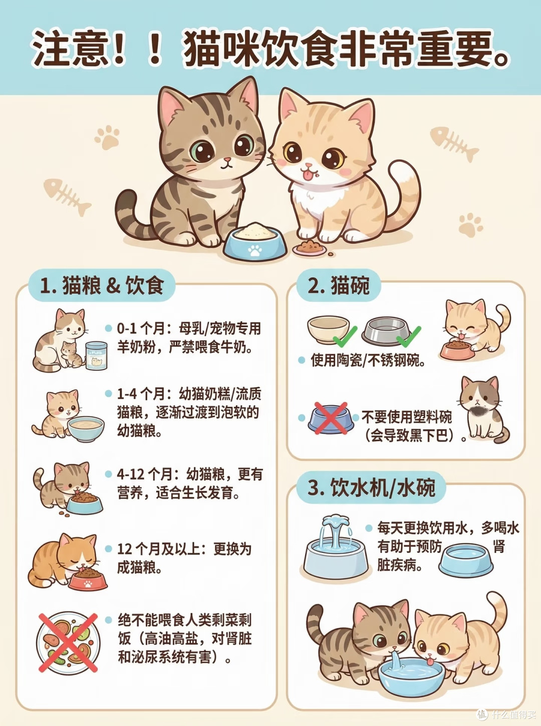 养猫舒适指南:人猫和谐共处