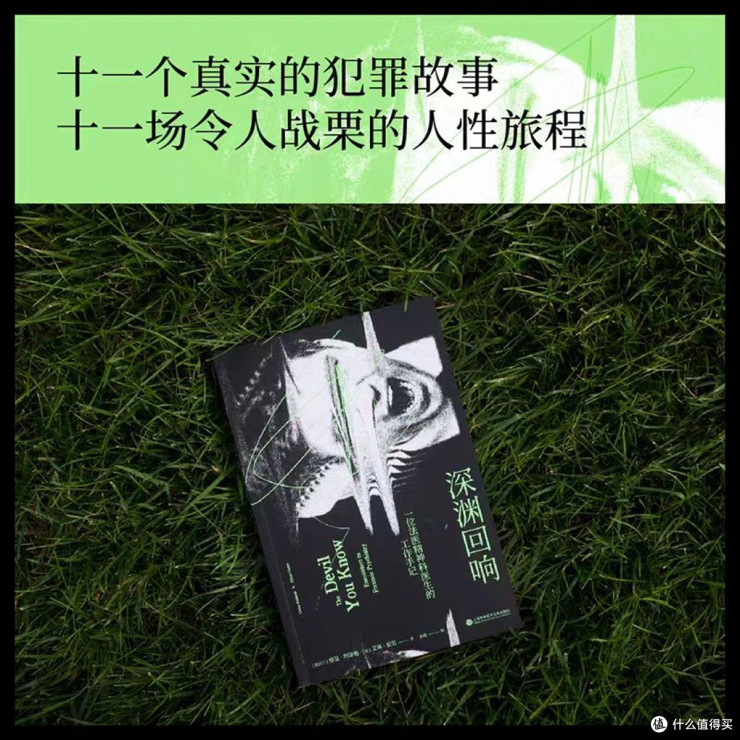 深渊回响:在恶的尽头,听见人性的呜咽