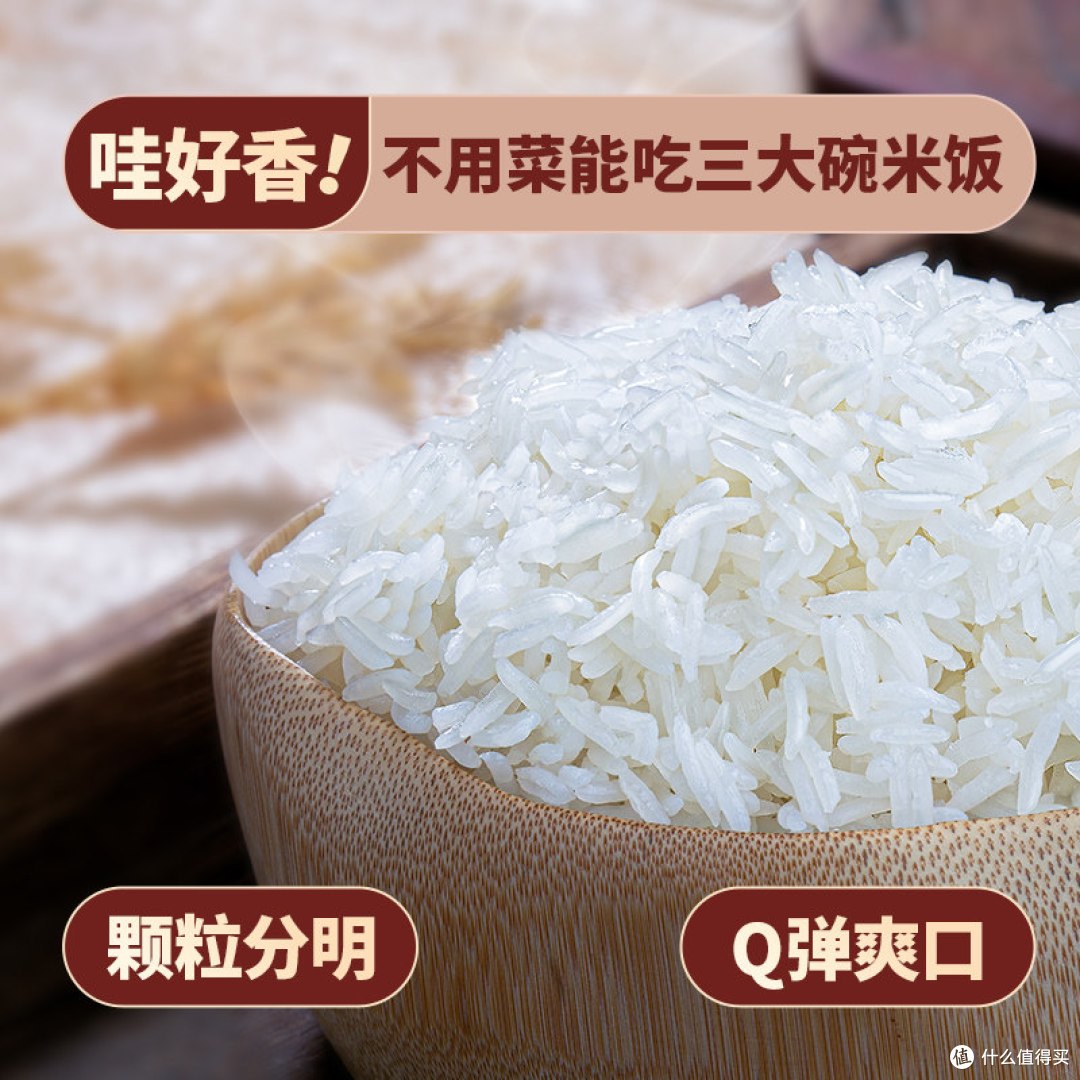 回购第三袋了!这款猫牙米,让我家每顿饭都多添一碗米