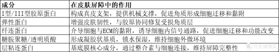 猪皮ECM（细胞外基质）在护肤和屏障修复方面的作用