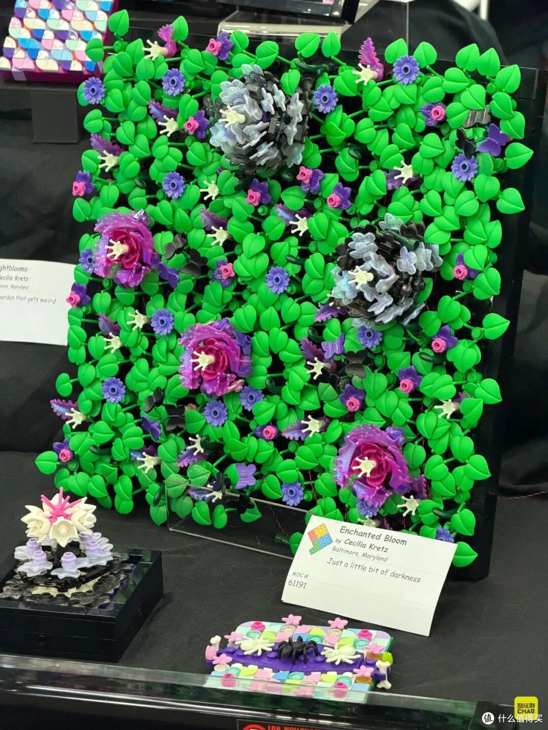 图注｜《Cecilia Kretz 植物花园系列》，另一角度。
