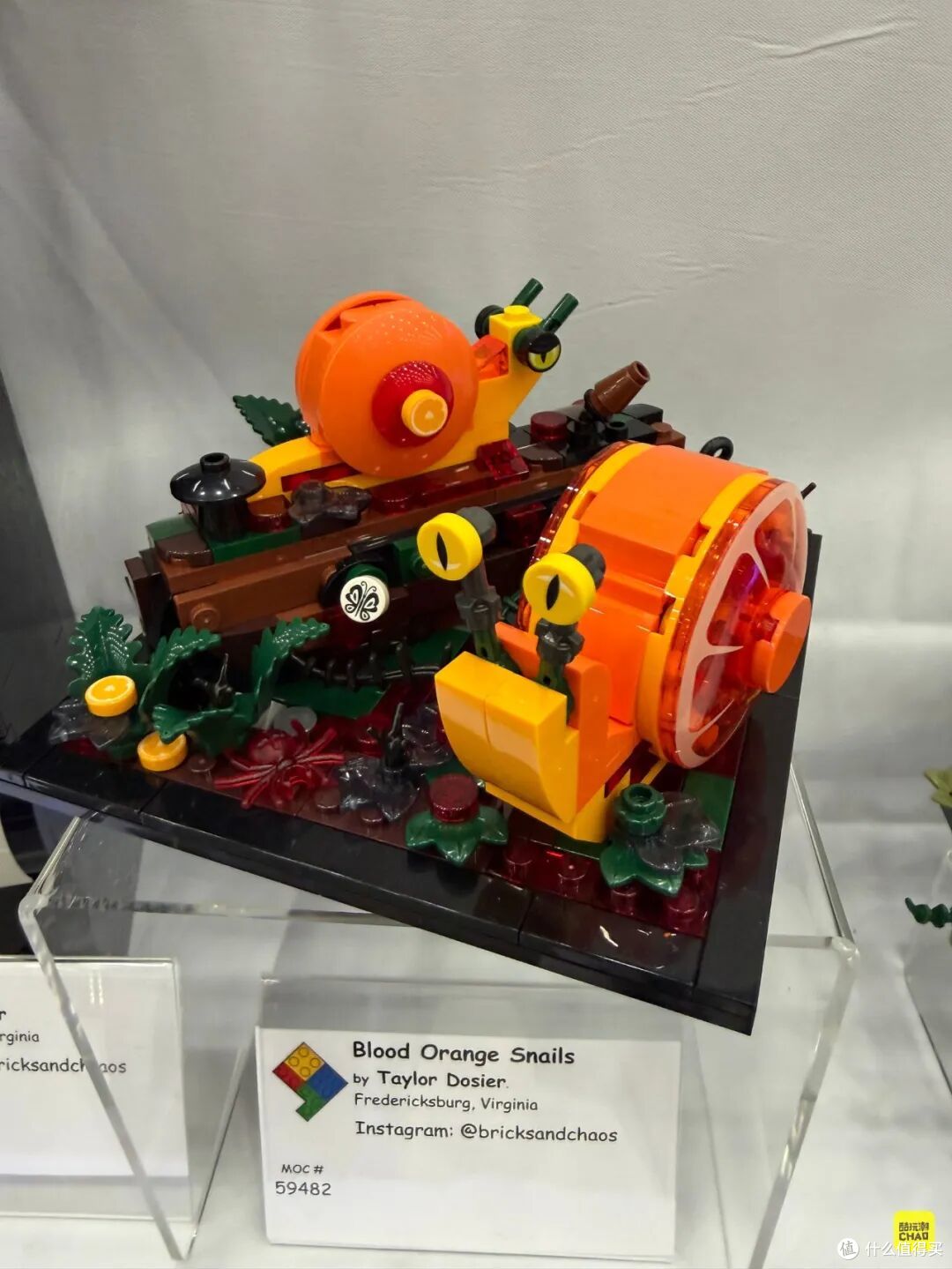 图注｜Taylor Dosier 的《Blood Orange Snails》。