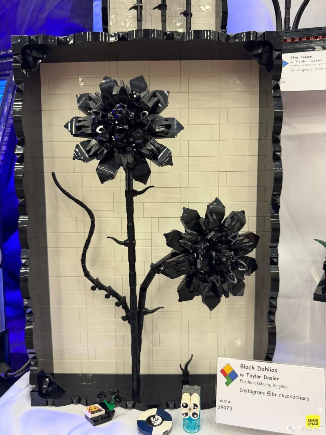 图注｜Taylor Dosier 的《Black Dahlias》。