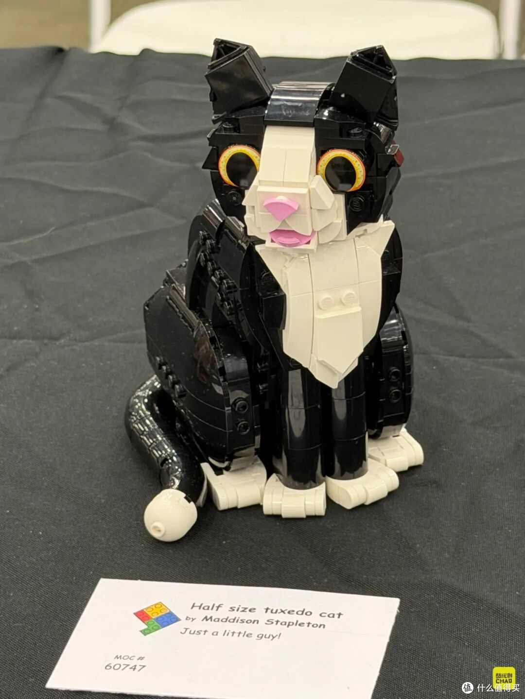 图注｜Maddison Stapleton 的《Half size tuxedo cat》，一只安静坐好的黑白猫。
