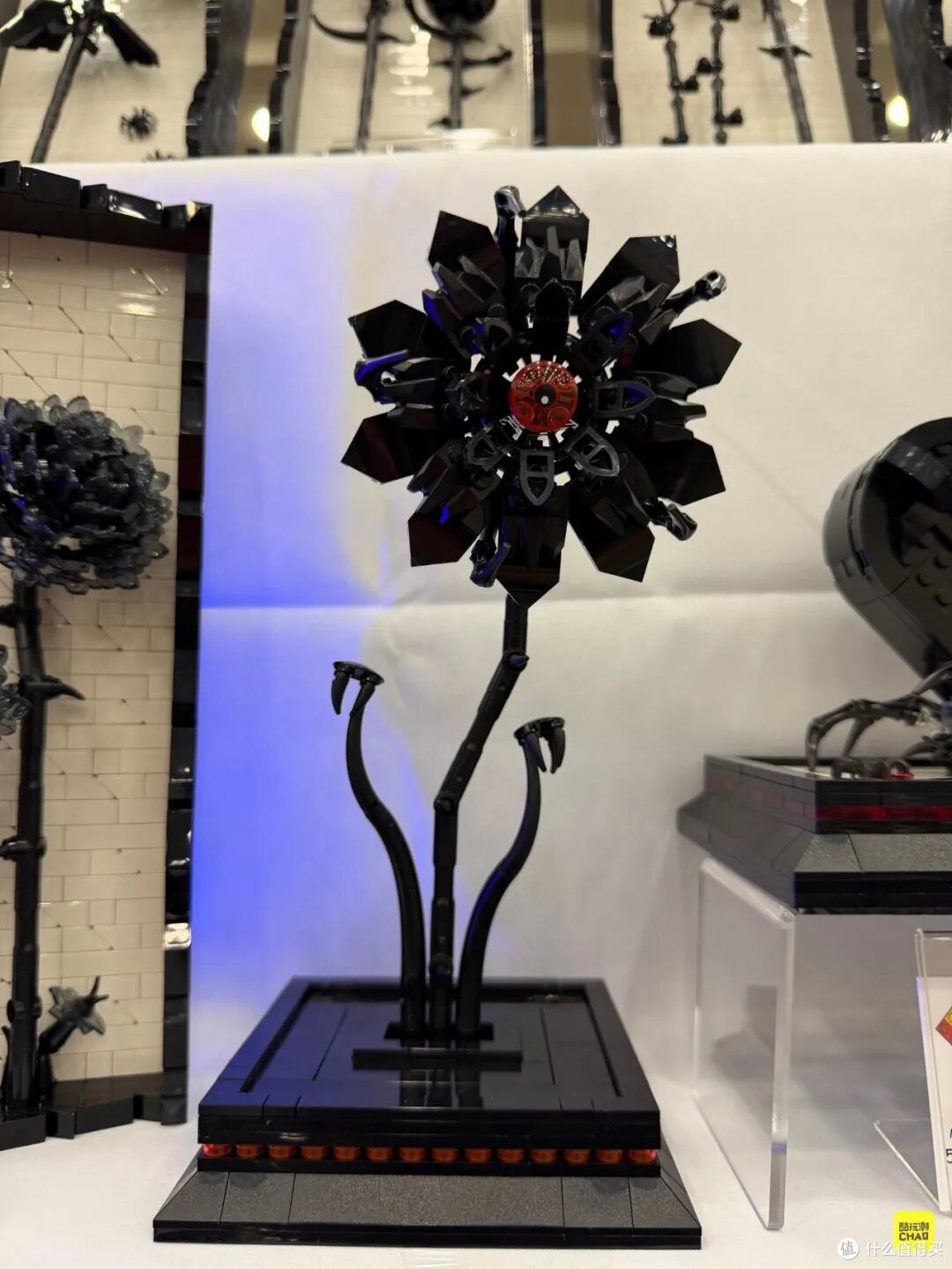 图注｜《Black Dahlias》，另一角度。