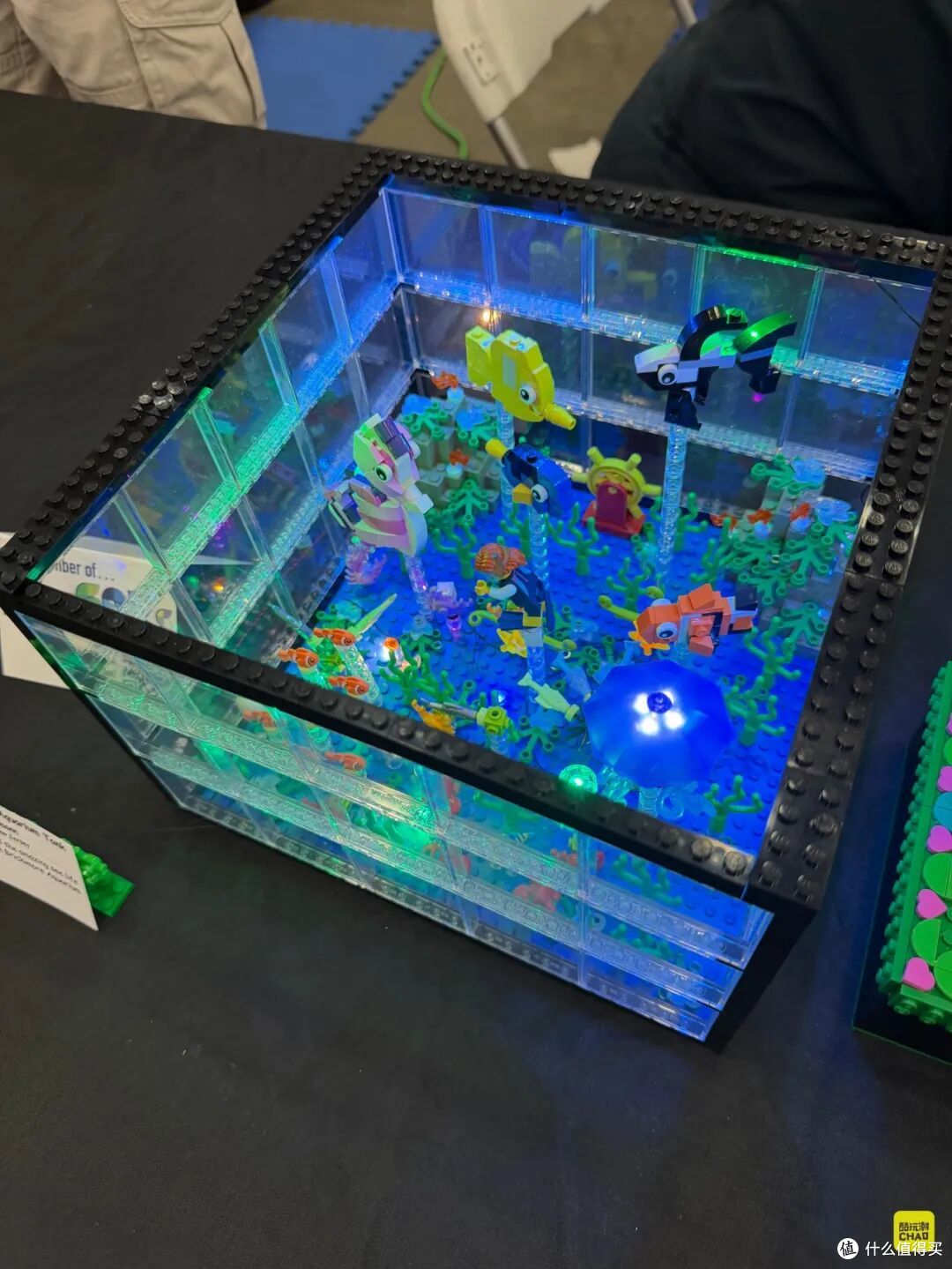 图注｜Beth 的《Brickimore Aquarium Tank》，鱼、珊瑚和水草被装进一只发光方盒。