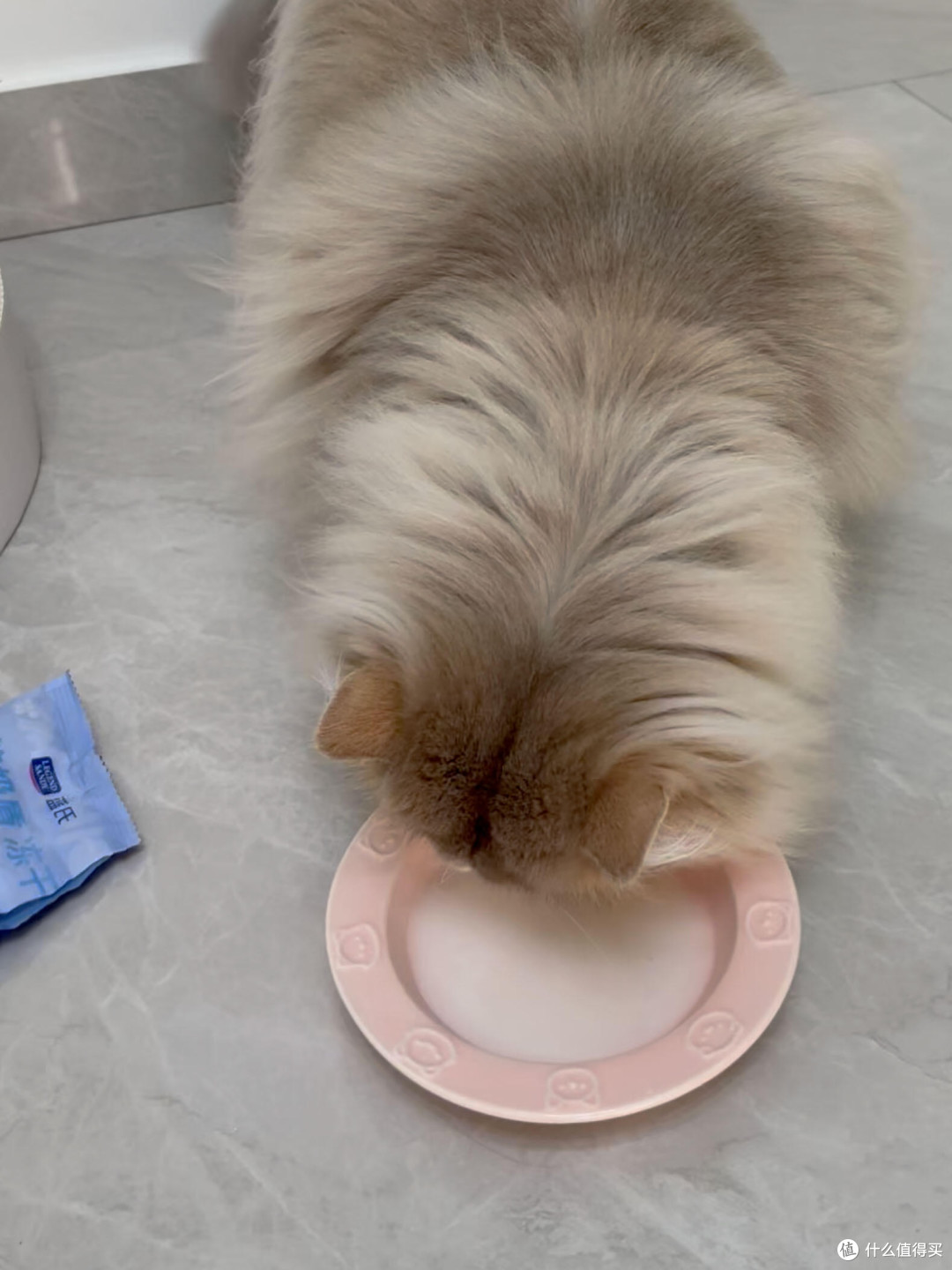 科学喂养猫咪的实践与心得