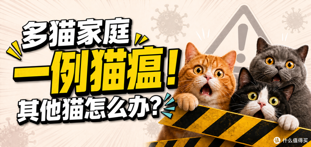 多猫家庭出现一例猫瘟，其他猫应该怎么处理？