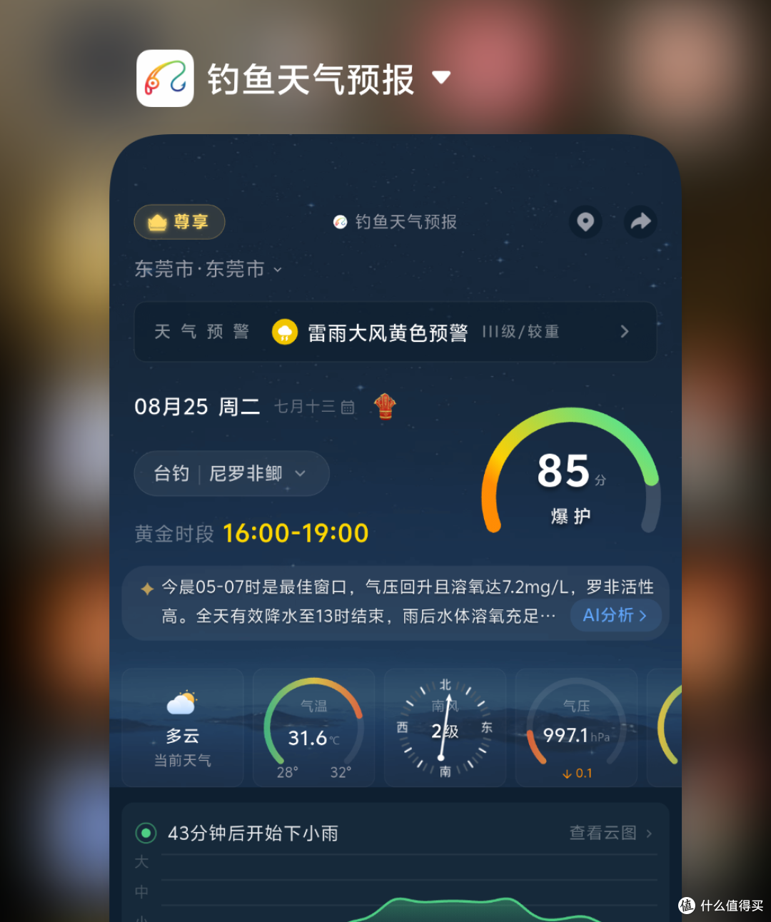 野钓甲鱼全攻略:从习性到作钓,搞懂这几点,新手也能上甲鱼