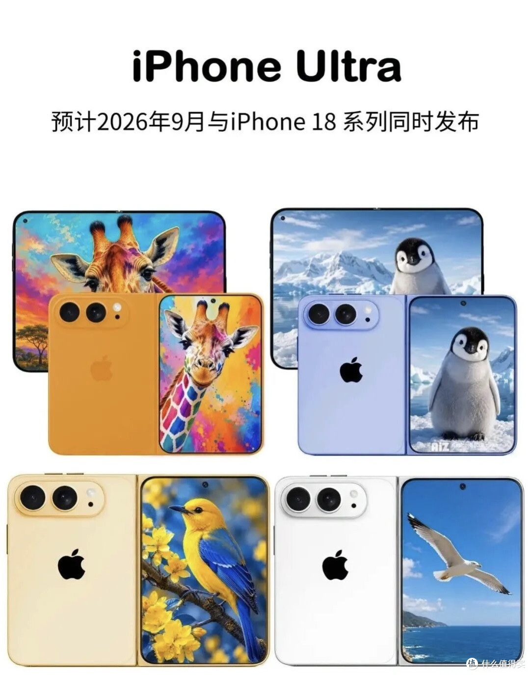 官宣了，9月10凌晨发布会，iphone18pro