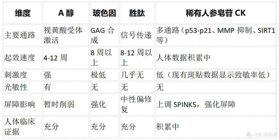 抗皱成分新观察:为什么研究者把目光投向了稀有人参皂苷CK?