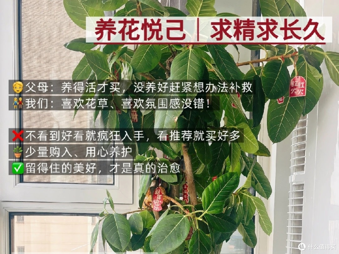 学着 70 后父辈过日子,守住我的钱袋子