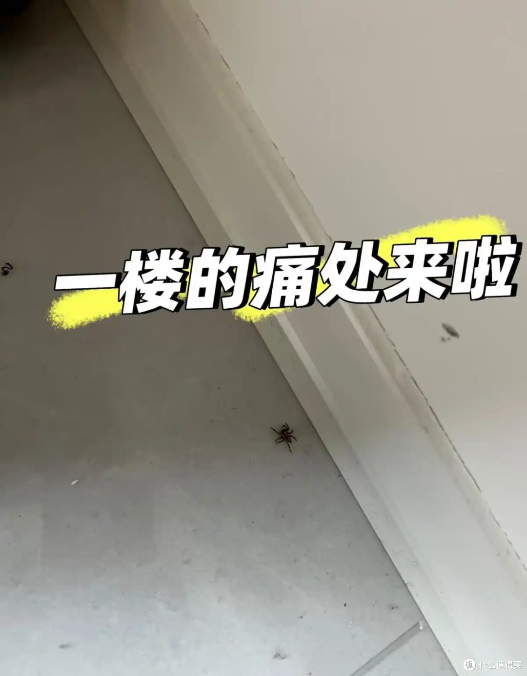 为何越来越多人搬离“一楼带院”房子?老住户:5个原因很真实!