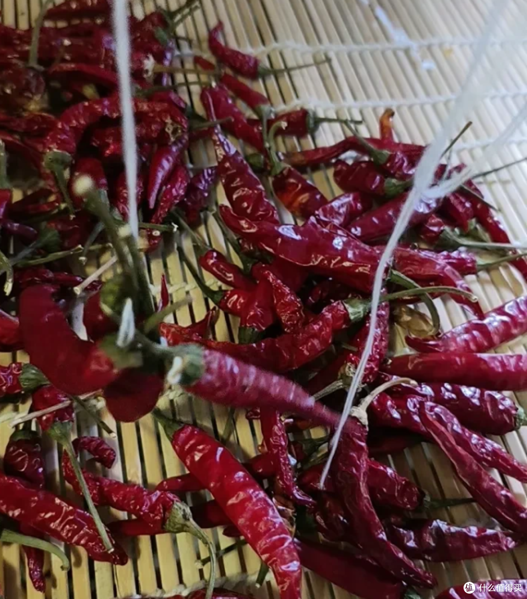 晒了一簸箕红辣椒，手指头疼了两天