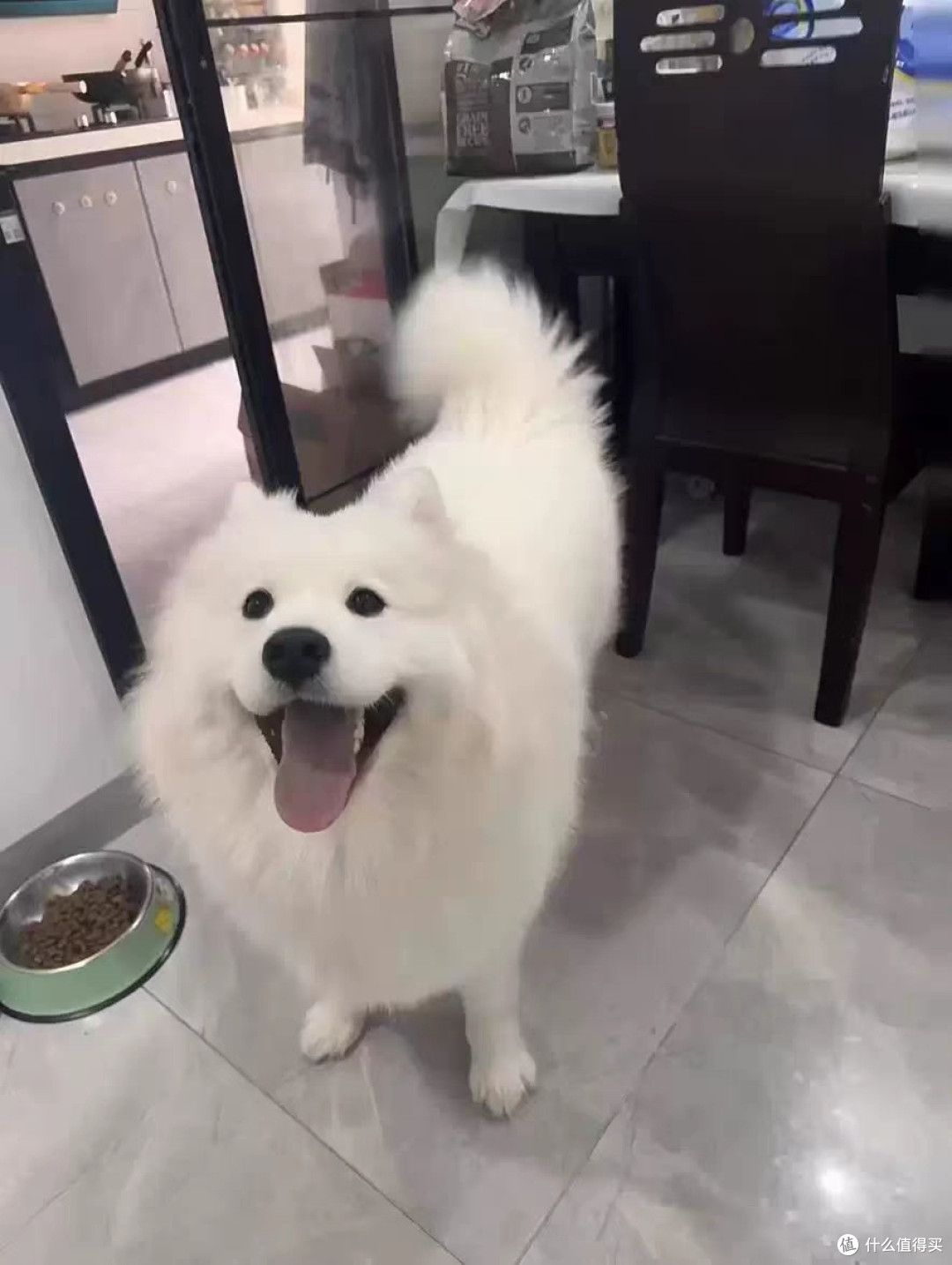 小型犬专用全价膨化粮