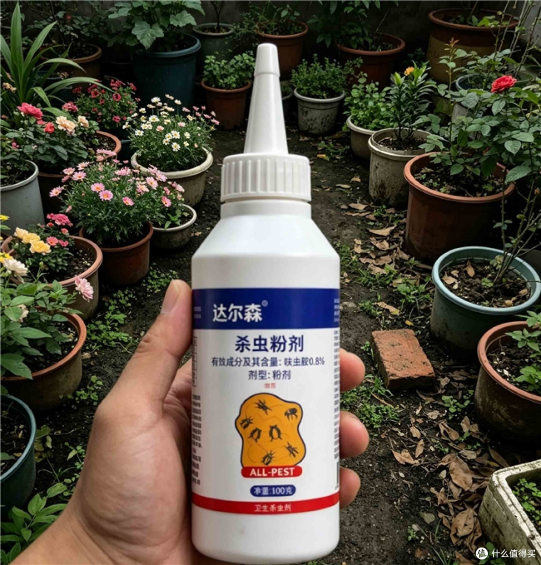 被白蚁蛀空门框才明白:白蚁用什么药最安全?看准这三点不踩坑