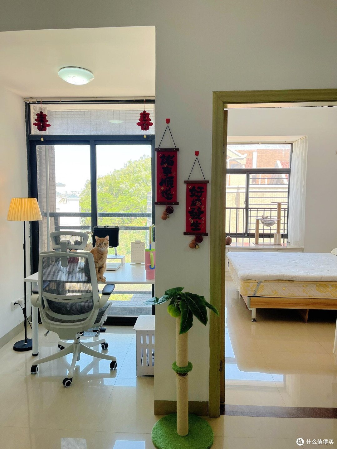 出租屋改造：从老旧到温馨