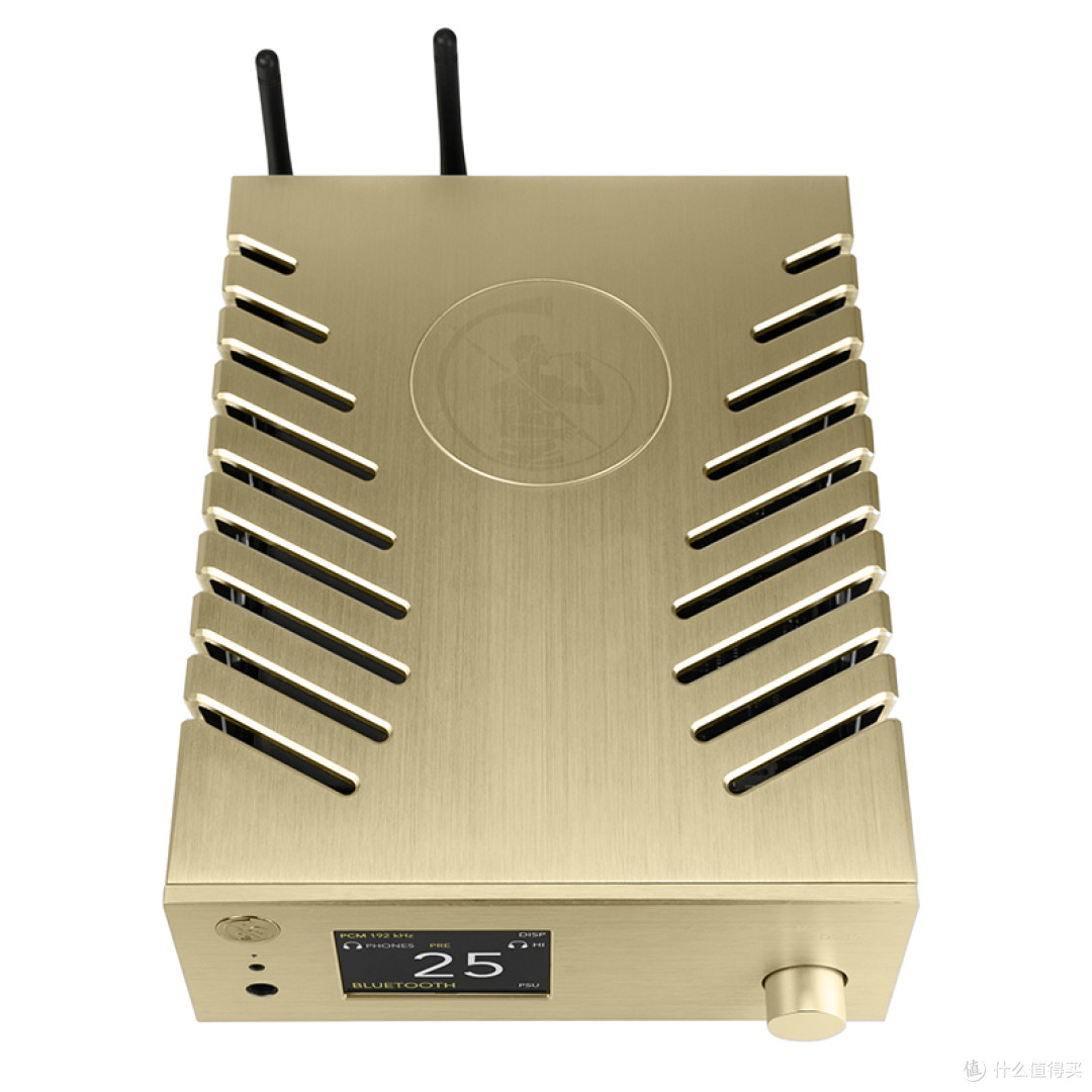 【惊喜价】欧洲数播不止参数,调音才是灵魂——GOLD NOTE DS-10