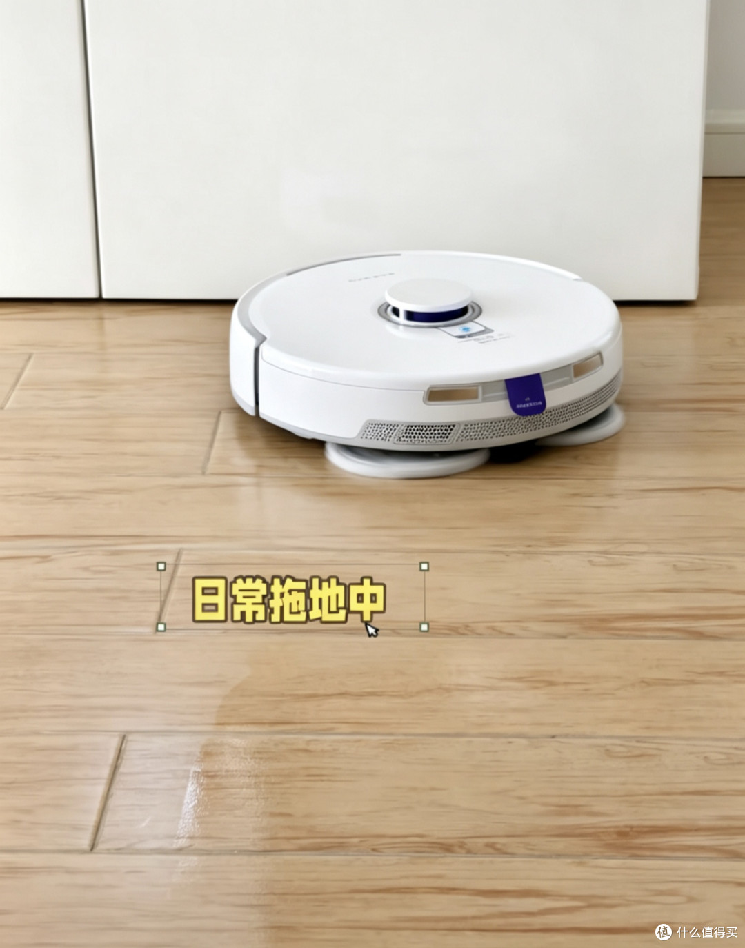 无滤镜真实测评❗云鲸到底是不是智商税?