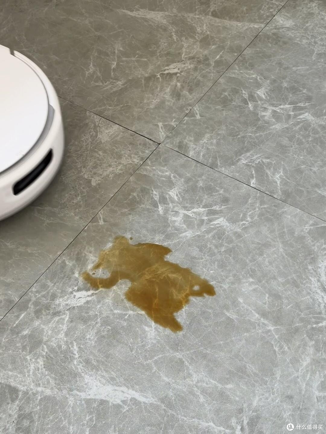 云鲸J6上下水版半年实测报告