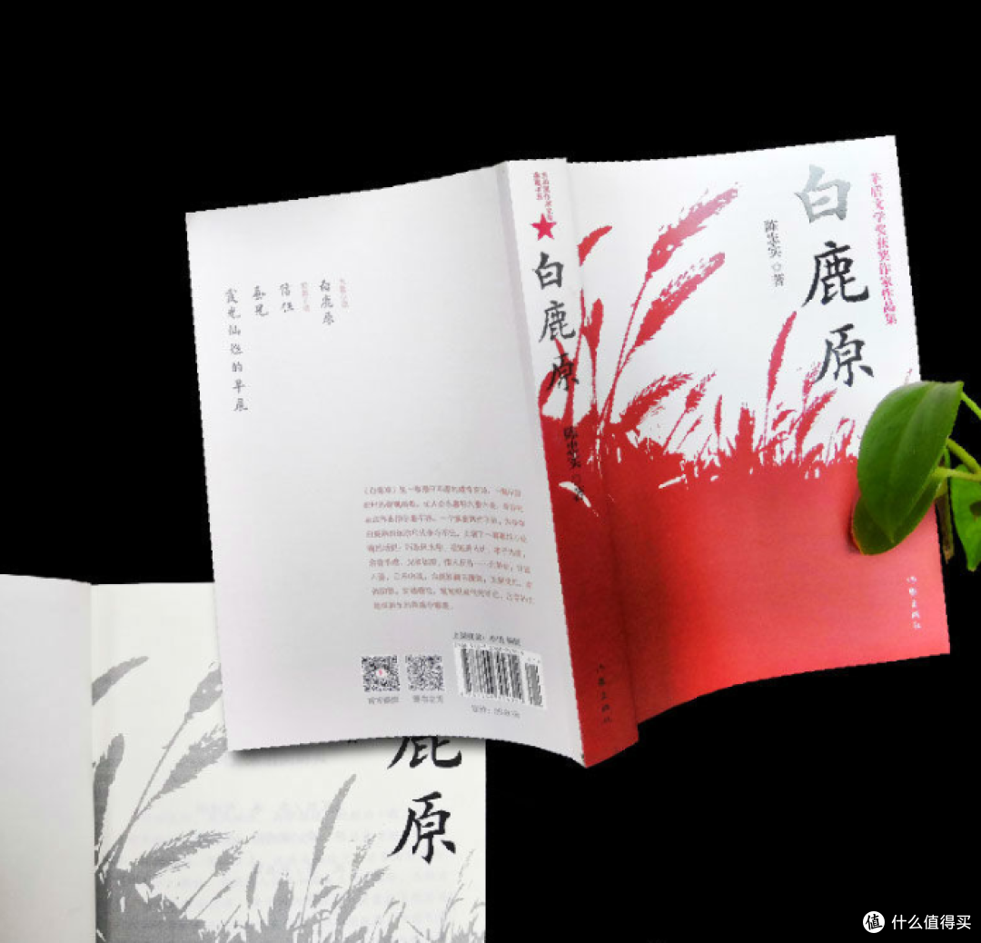 《白鹿原》:一部写进中国人骨子里的 "民族秘史"
