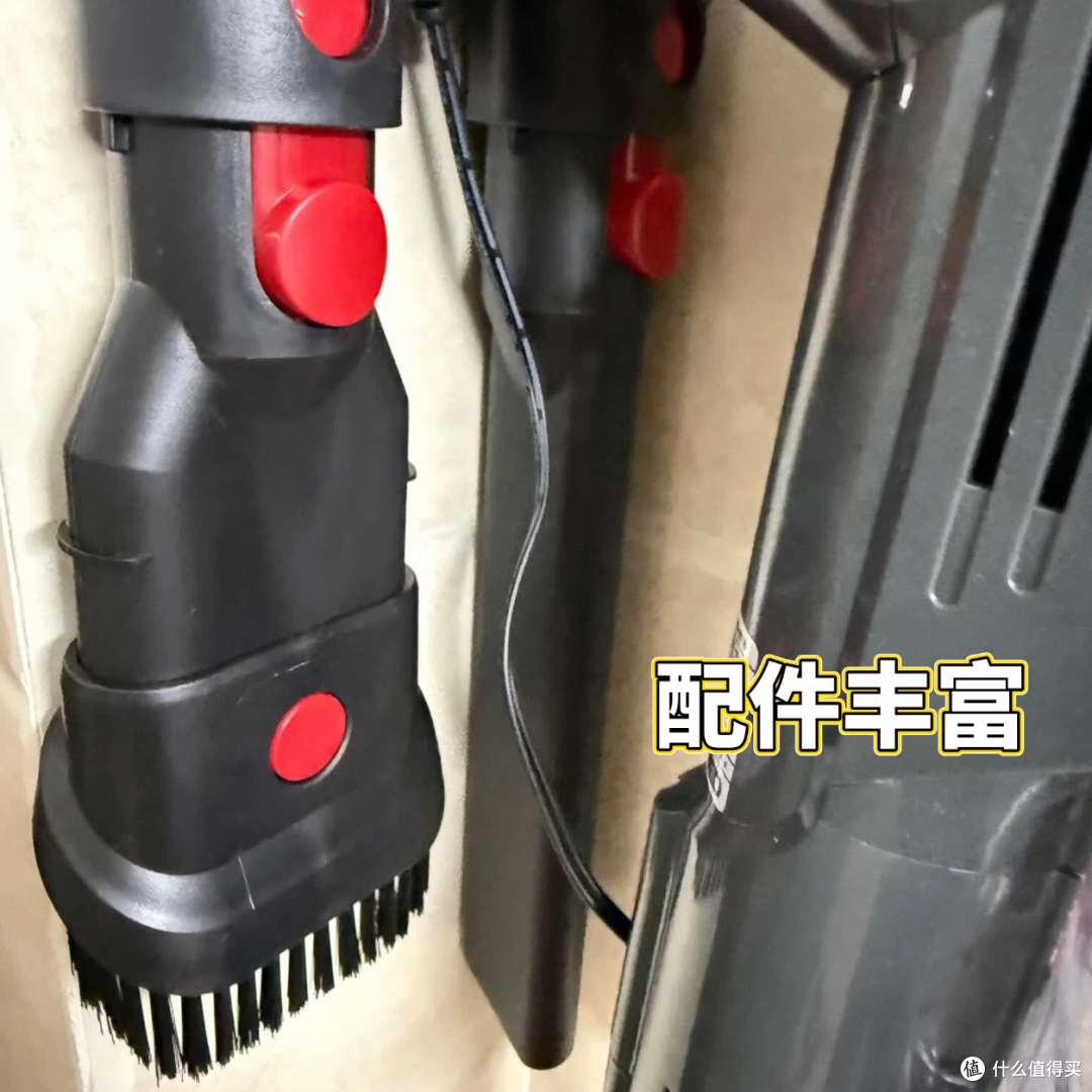 多猫家庭实测CEWEY DS18两个月,说说我的真实感受