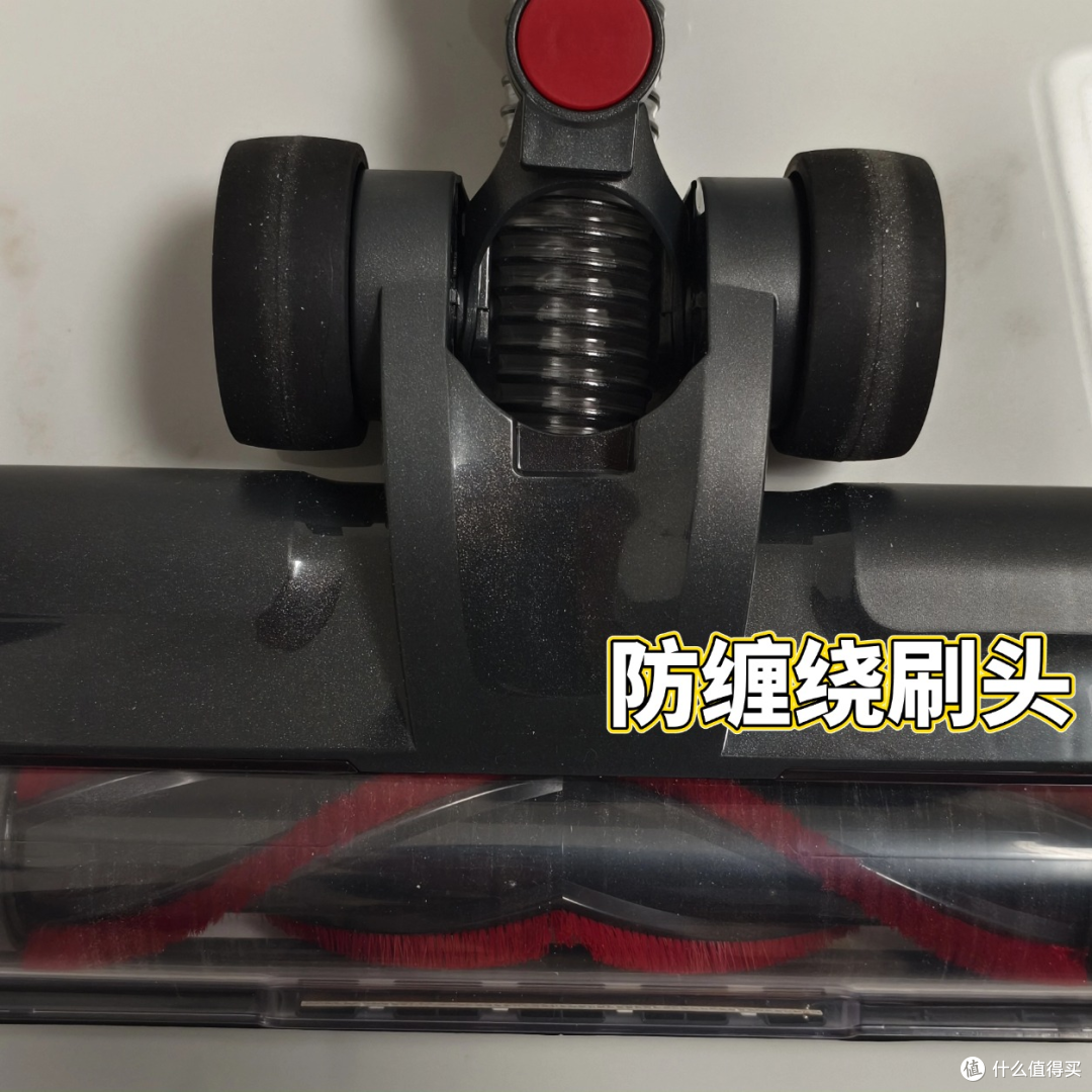 多猫家庭实测CEWEY DS18两个月,说说我的真实感受