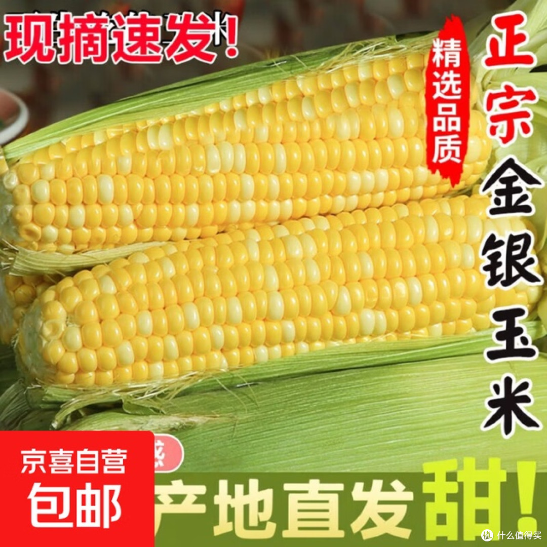 水果玉米源于罕见基因突变