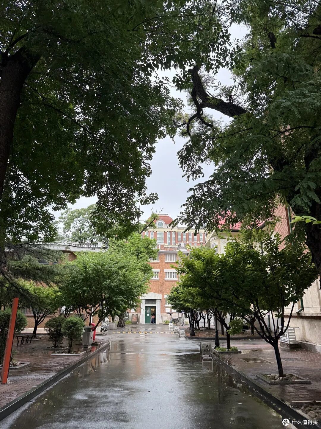 雨后的院路，红砖建筑从树木后面露出来