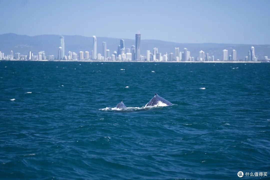 ● Gold Coast, Queensland  📷 / © Tourism Australia