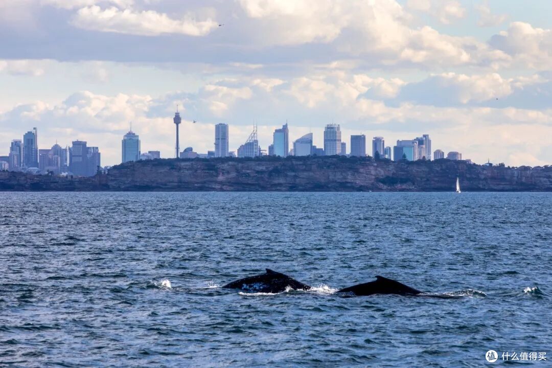 ● Sydney, New South Wales  📷 / © Destination NSW