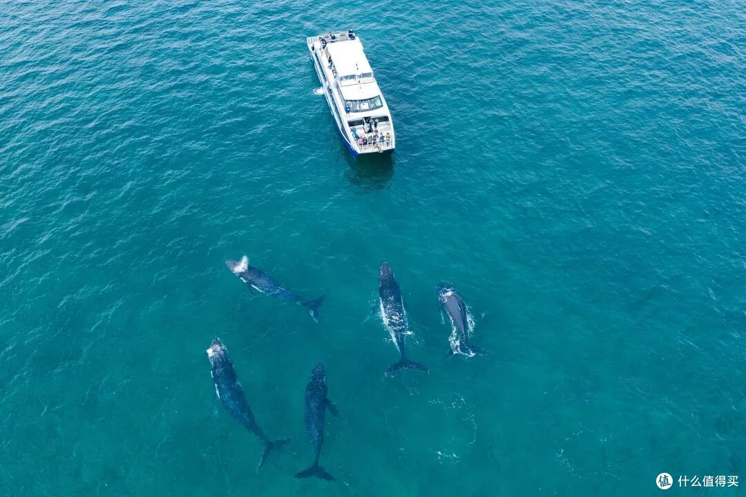 ● Hervey Bay, Fraser Coast, Queensland  📷 / © Tourism Australia