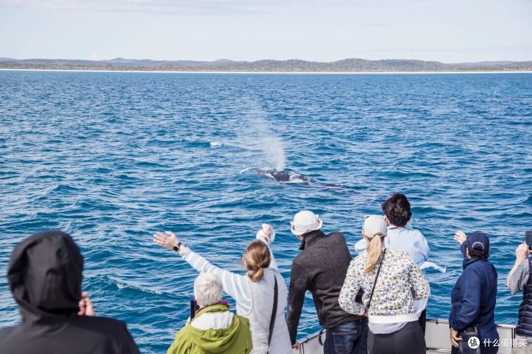 ● Hervey Bay, Fraser Coast, Queensland  📷 / © Tourism Australia
