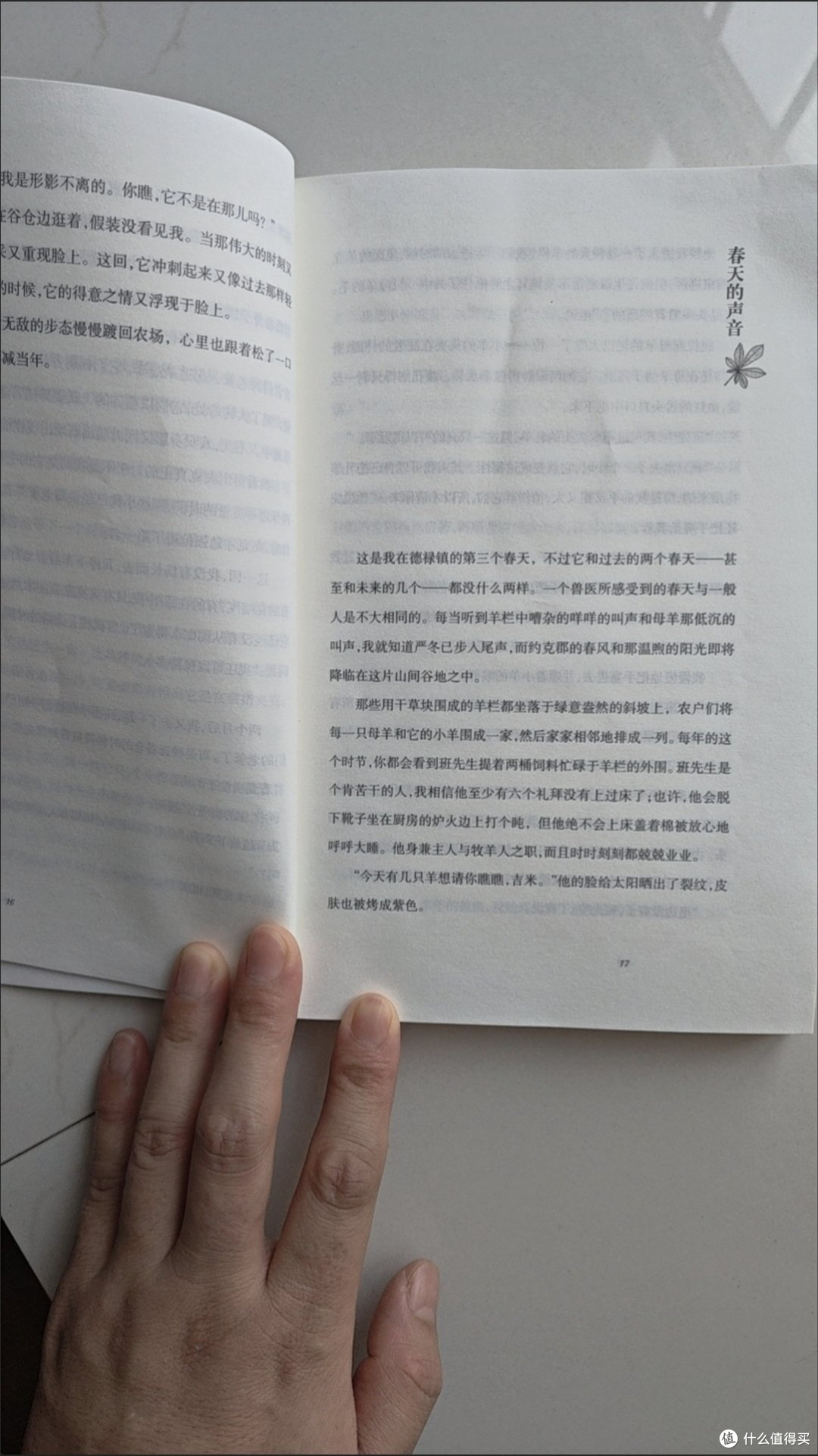 在这个浮躁的夏天,我靠这本“无用之书”治好了精神内耗