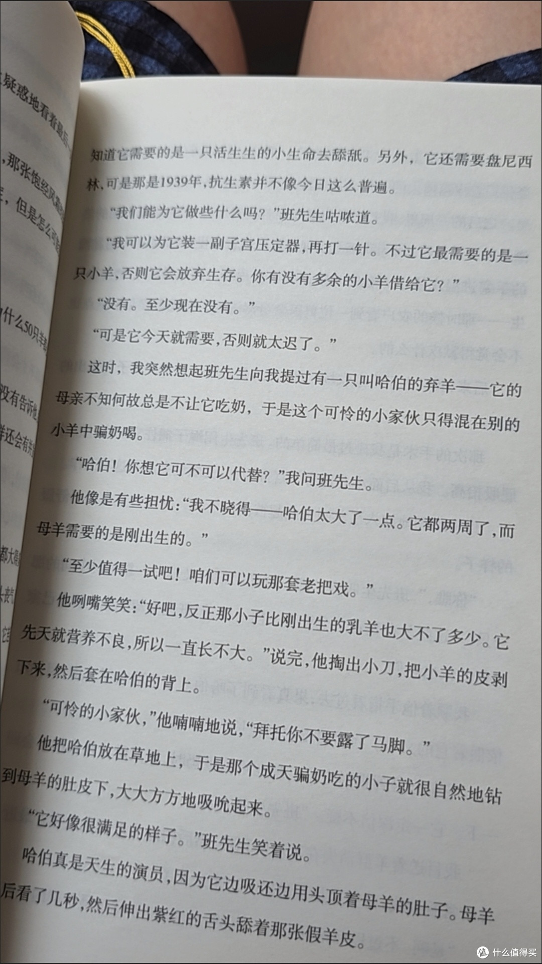 在这个浮躁的夏天，我靠这本“无用之书”治好了精神内耗