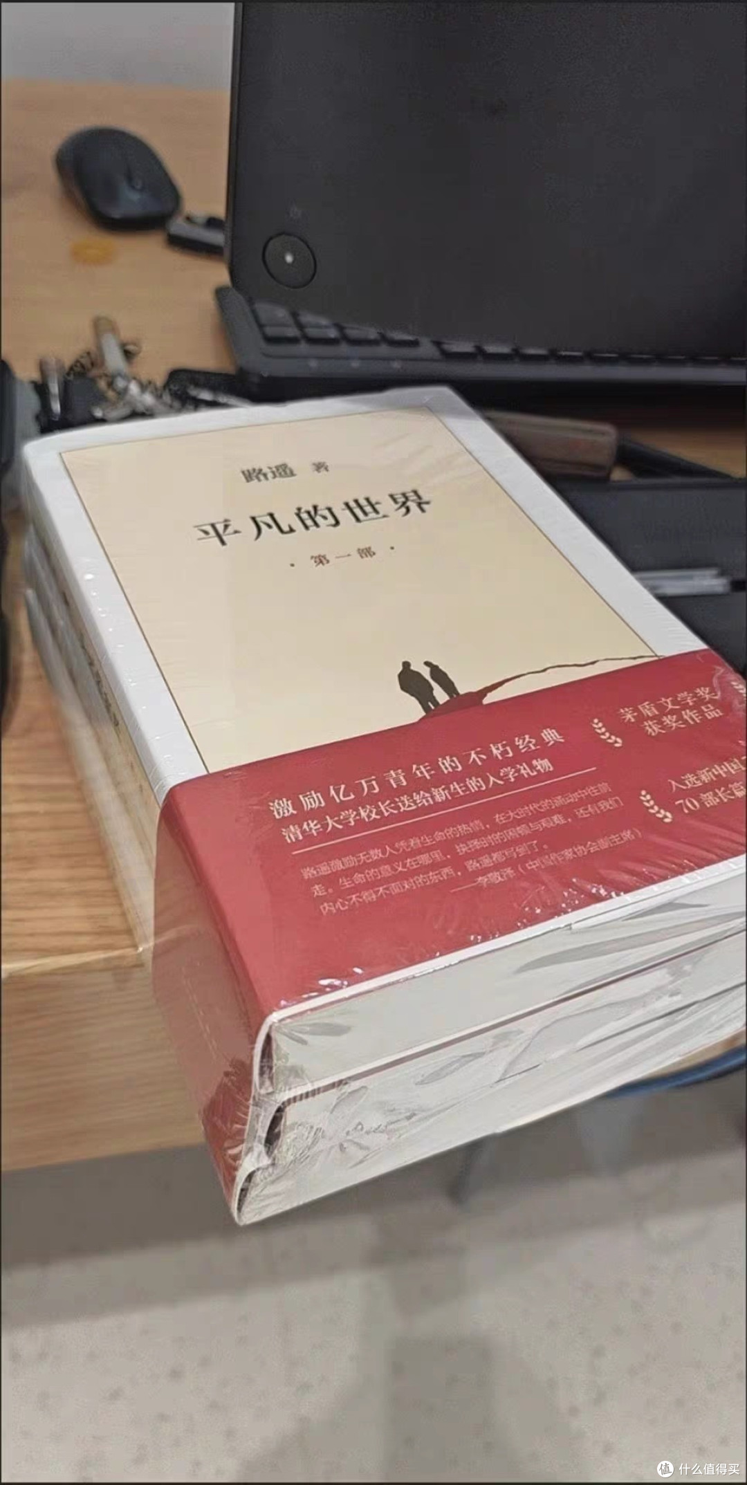平凡世界中的坚守与精神力量