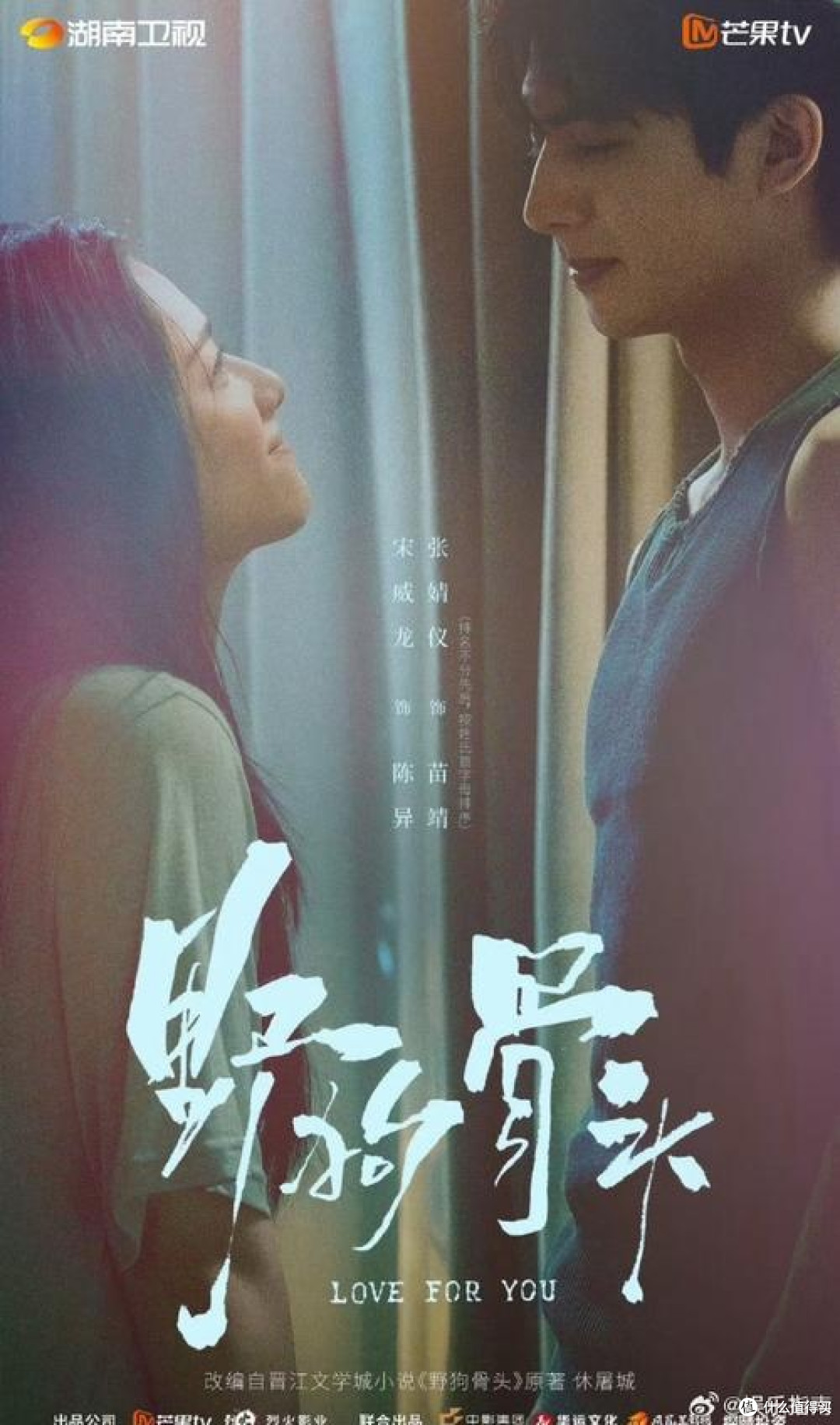 《野狗骨头》中的双向救赎与成长
